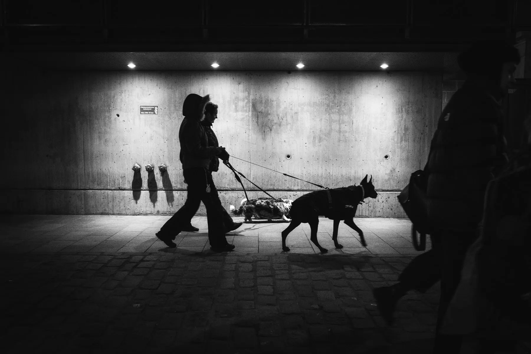 Person walks a dog through a lit underpass, both in silhouette