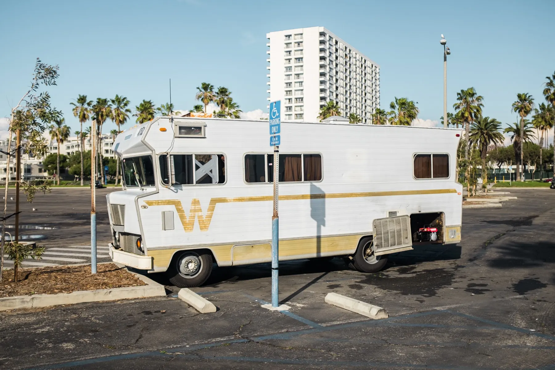 White camper van at the edge of a palm-lined parking lot