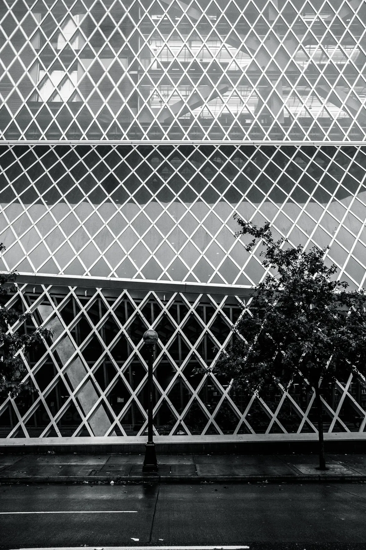 Diamond lattice facade above a street and a bare tree