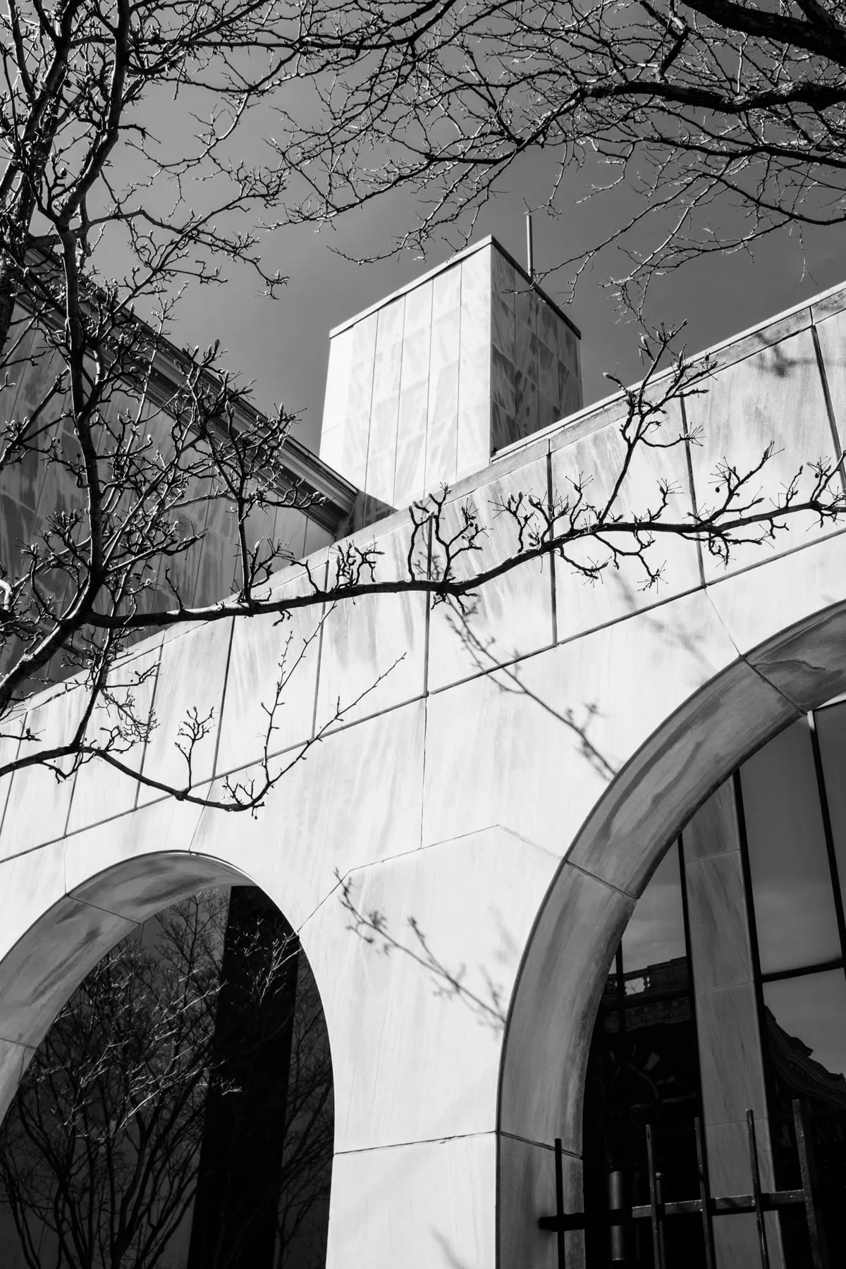 Marble arch and stair against bare branches