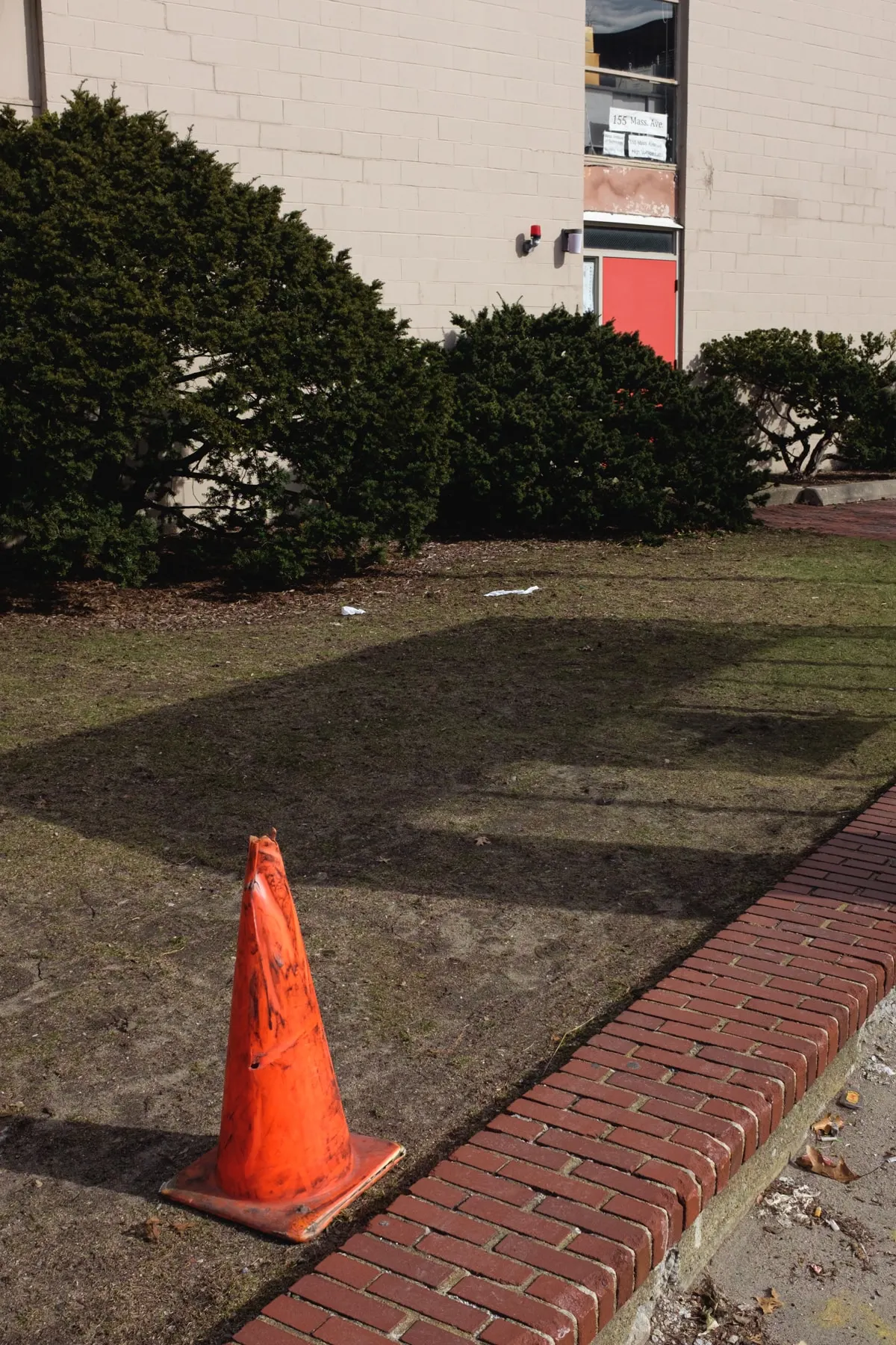 Cone alone on a grass verge beside a brick edge